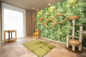 TECROWD82号ファンド「猫専用個室ペットホテル ねこべや港区芝店(仮称)」