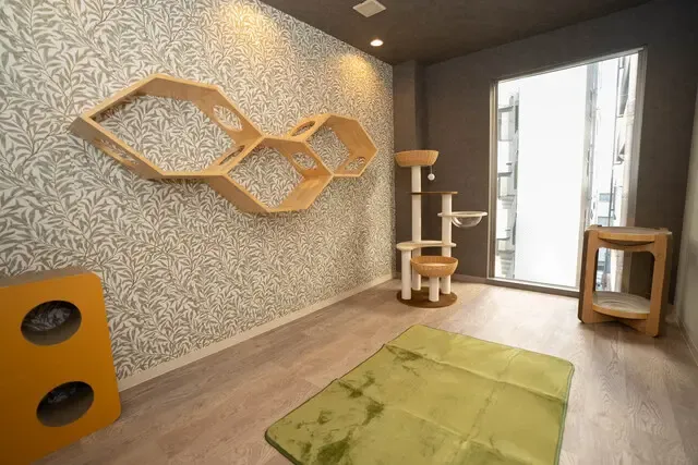 ねこべや港区本店　個室２